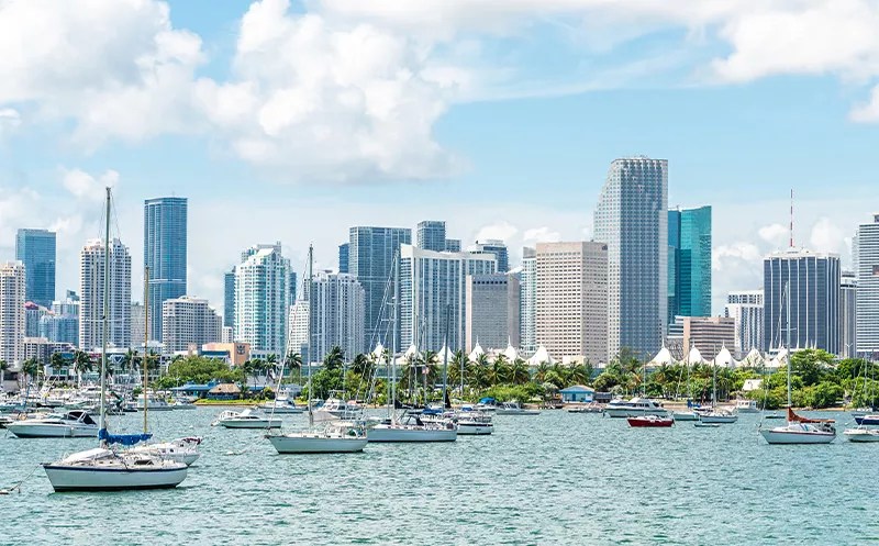 Miami’s Cultural Renaissance Shapes a New Urban Identity