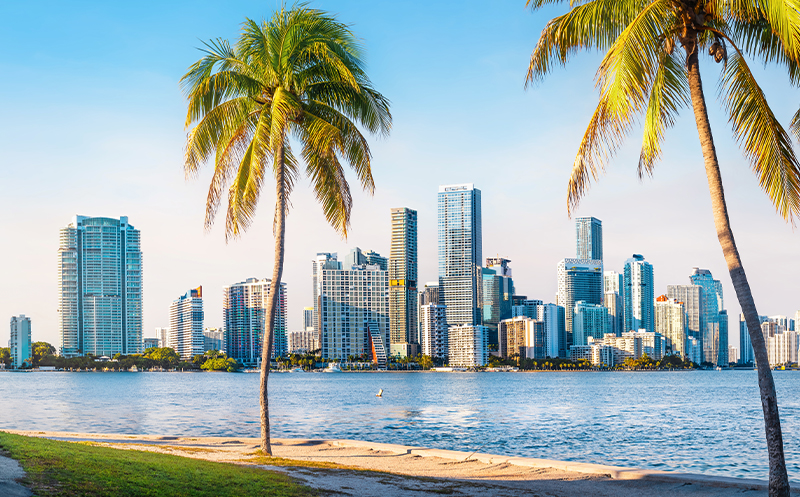 Miami’s Digital Entertainment Boom Changes the City’s Cultural Pulse