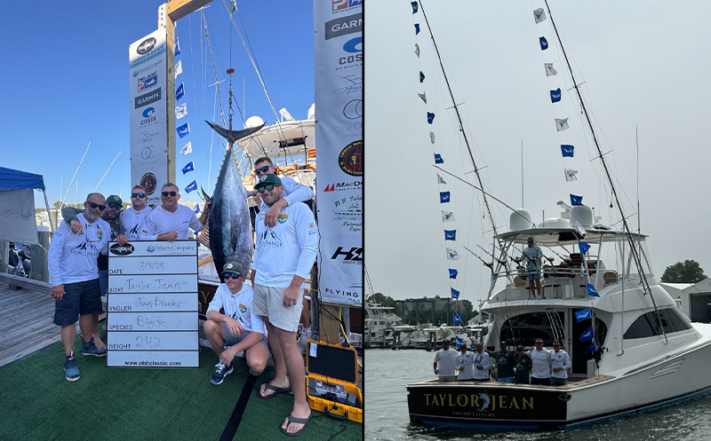 Win or Go Home in Cabo: How the Zane Grey Playoffs Rewired Offshore Fishing